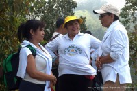 /album/fotogaleria/foto-35-jpg/